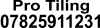 Pro Tiling.JPG (91474 bytes)